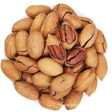Healthy food Roasted Pecan hot Office Nuts snacks Creamy pecan inshell